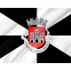 Castelo Branco District Flag - Imagine 2