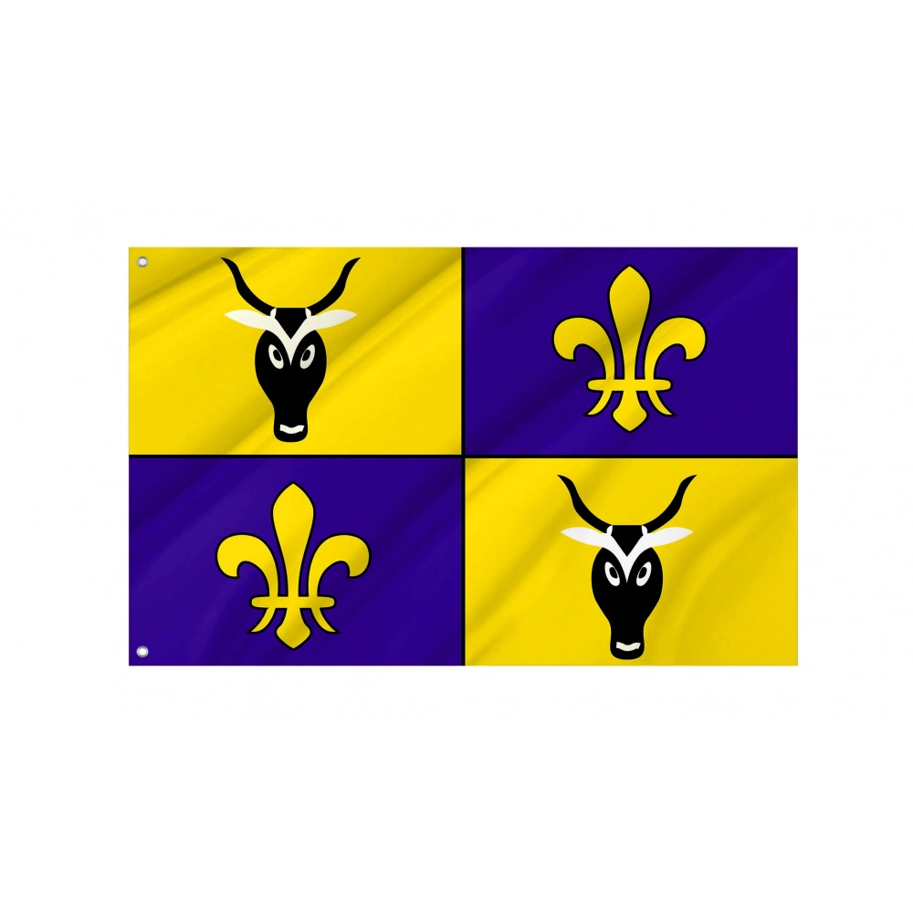 Antananarivo Flag for Indoor & Outdoor Use