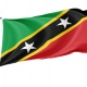 Saint Kitts and Nevis Flag for Indoor & Outdoor Use - Imagine 1