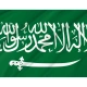 Nejd 1921-1926 Flag for Indoor & Outdoor Use - Imagine 2