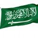 Nejd 1921-1926 Flag for Indoor & Outdoor Use - Imagine 1