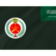 Royal Saudi Air Defense Forces Flag - Imagine 2