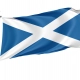 Scotland Flag for Indoor & Outdoor Use - Imagine 1