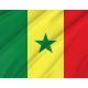 Senegal Flag for Indoor & Outdoor Use - Imagine 2