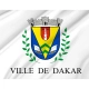 Dakar Flag for Indoor & Outdoor Use - Imagine 2