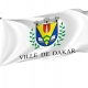 Dakar Flag for Indoor & Outdoor Use - Imagine 1