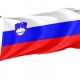 Slovenia Flag for Indoor & Outdoor Use - Imagine 1