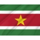 Suriname Flag for Indoor & Outdoor Use - Imagine 2