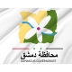 Damascus Capital City Flag for Indoor & Outdoor Use - Imagine 2