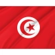 Tunisia Flag for Indoor & Outdoor Use - Imagine 2