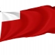 Abu Dhabi Flag for Indoor & Outdoor Use - Imagine 1