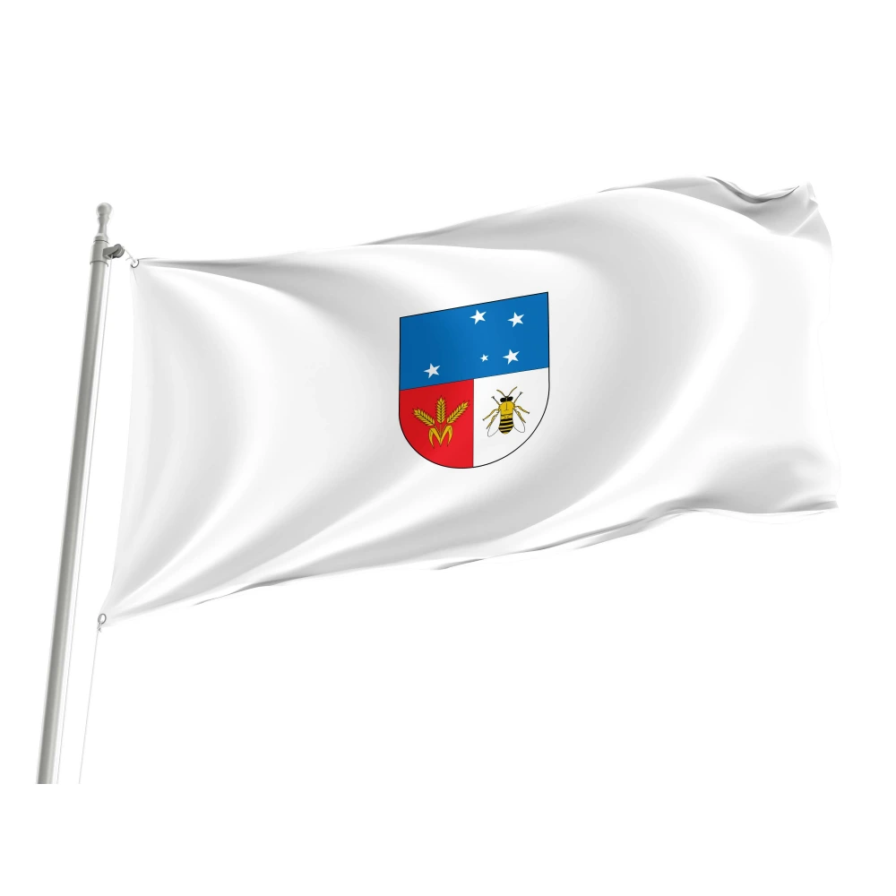 Colonia Department Flag for Indoor & Outdoor Use