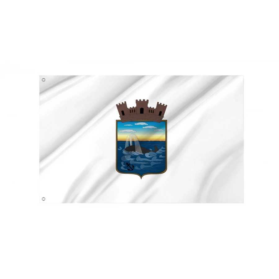 Maldonado Department Flag for Indoor & Outdoor Use, URY11