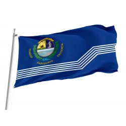 Salto Department Flag for Indoor & Outdoor Use