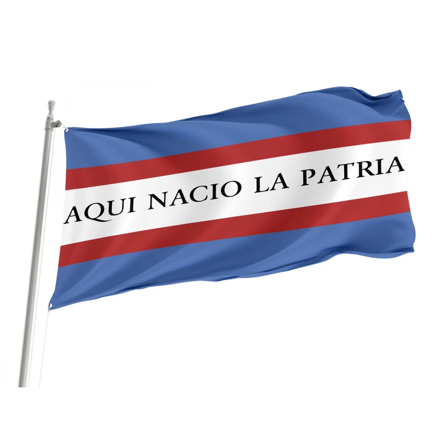 Soriano Department Flag for Indoor & Outdoor Use, URY17