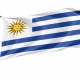 Uruguay Flag for Indoor & Outdoor Use - Imagine 1