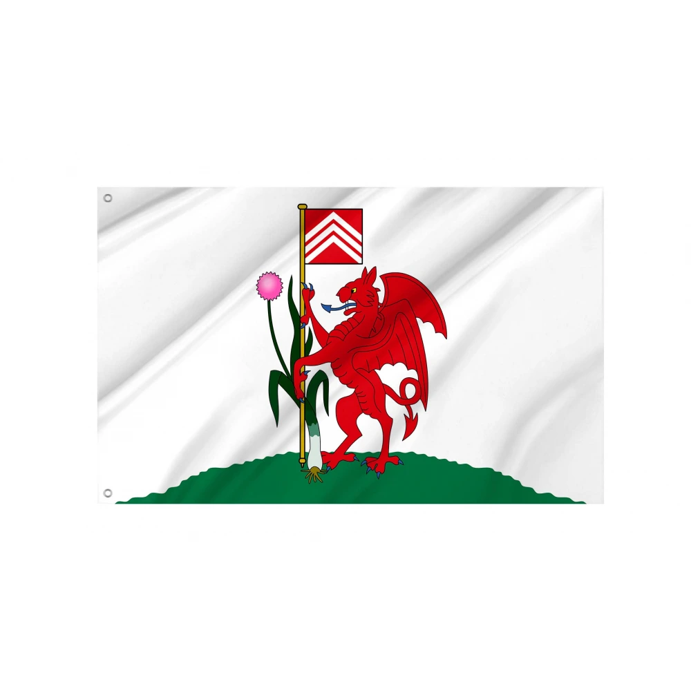 Cardiff Flag for Indoor & Outdoor Use