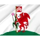 Cardiff Flag for Indoor & Outdoor Use - Imagine 2