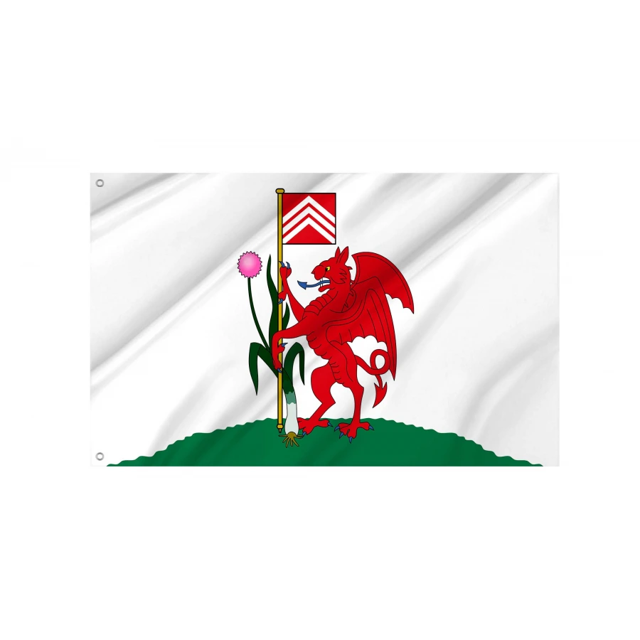 Cardiff Flag for Indoor & Outdoor Use, WEL05