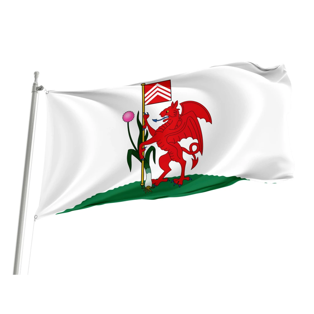 Cardiff Flag for Indoor & Outdoor Use