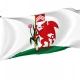 Cardiff Flag for Indoor & Outdoor Use - Imagine 1