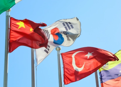 Waving History: Country Flags as Reflections of National Identity