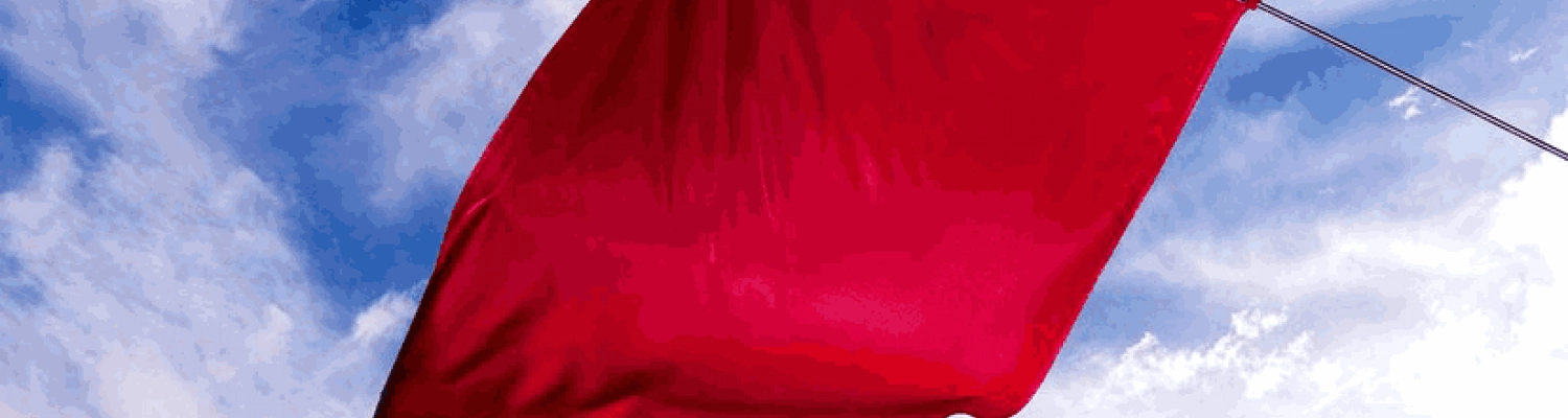 From Ancient Standards to Modern Banners: The Evolution of Flags - ShopFlagWorld From Ancient Standards to Modern Banners: The Evolution of Flags