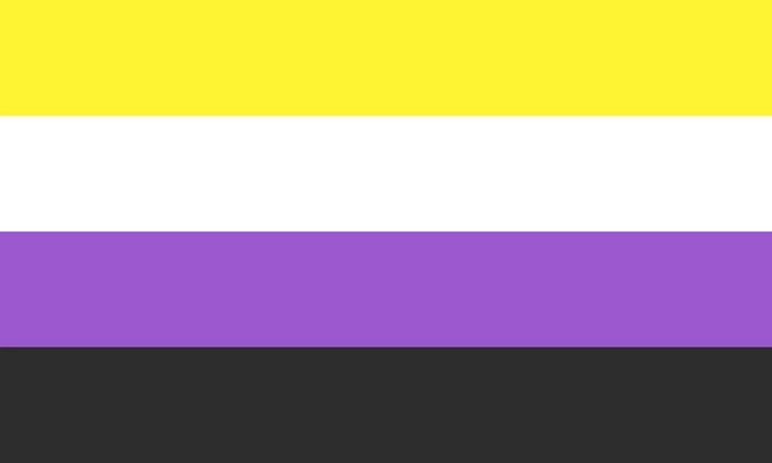 Nonbinary Flag