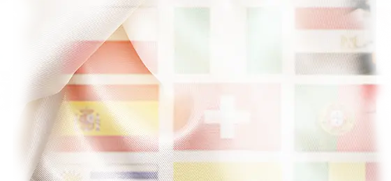 Custom Printed Flags